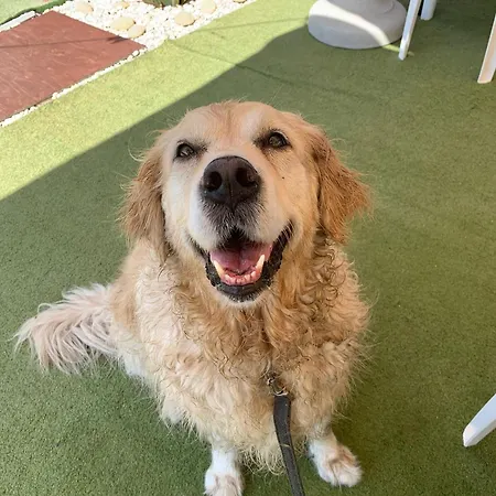 公寓 Studio_suite05 *